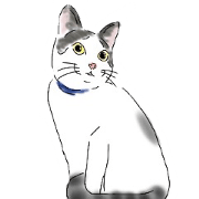 cat's daily life (Mill)