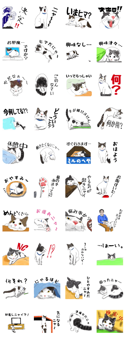 cat's daily life (Mill)