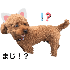 Sumire_20200727155706