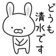 Rabbit To SHIMIZU