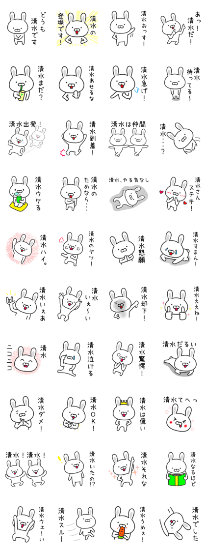 Rabbit To SHIMIZU