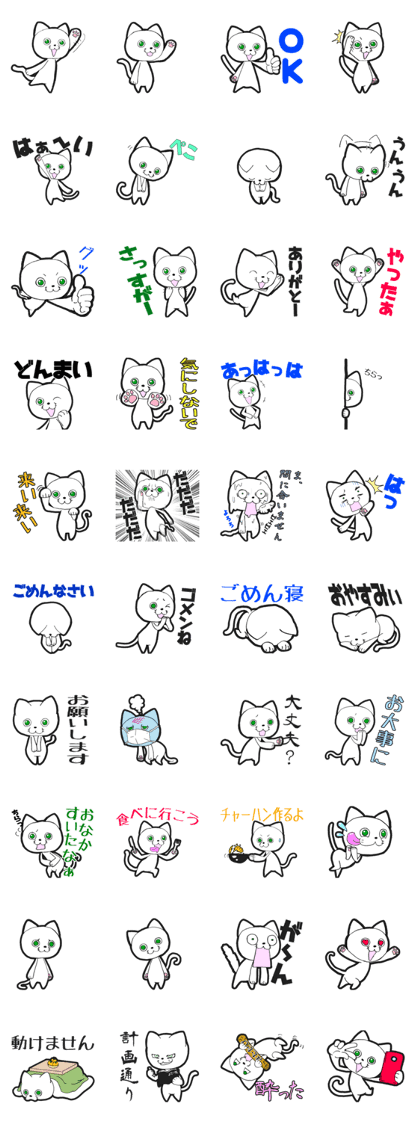 White with green eyes cat