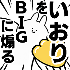 BIG Rabbits feeding [Iori]