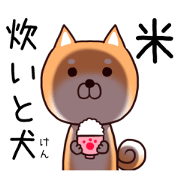 Dog to force the housework