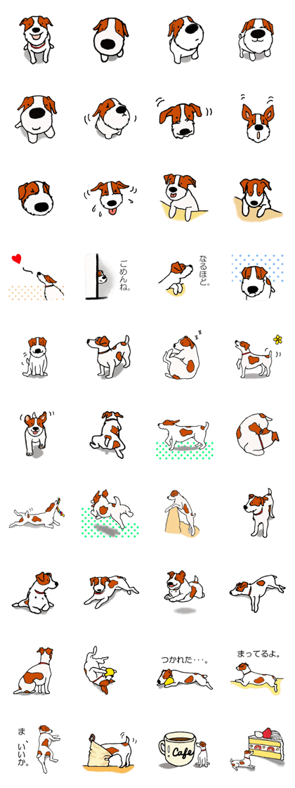 funny dog's life (JRT LIFE)