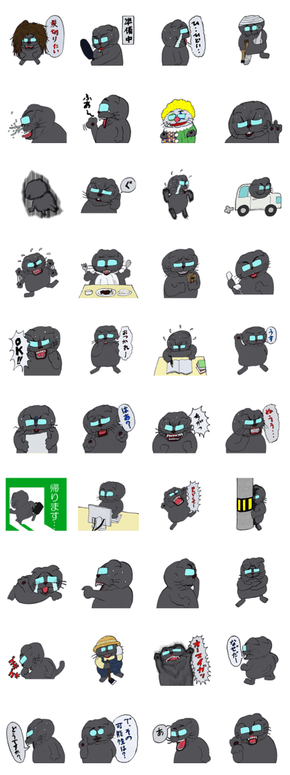 Boo of the black cat 3rd