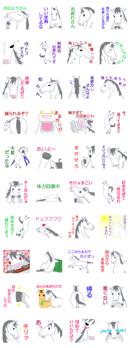 My sweet white horse