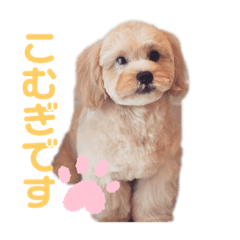 NAGISA_20200727150602