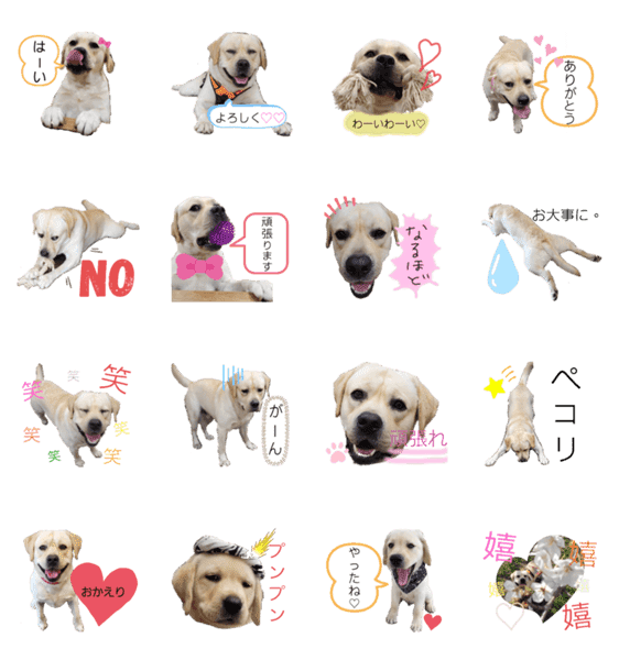 ラブラドールは祭くん 2 Lineクリエイターズスタンプ Stamplist ラブラドールは祭くん 2 Lineクリエイターズスタンプ Stamplist