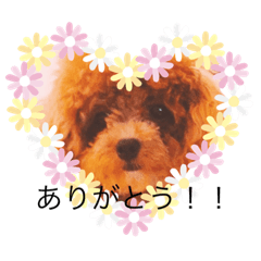 hana_20200727191116