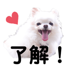 tomomi_20200727205328