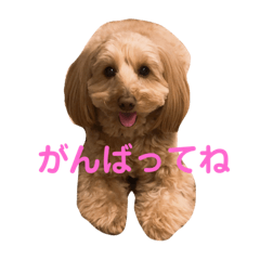hana_20200727213942