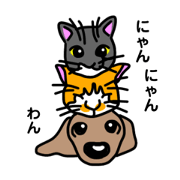 shitakara_20200727214536