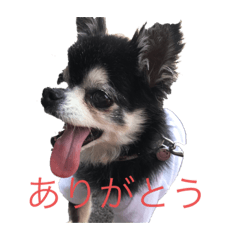 tomomi_20200727225922