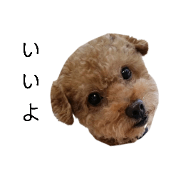 miyuu_20200727230703