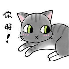 BoBi cat :  Chinese Version