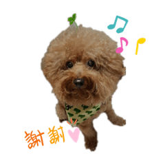 小流氓布丁滴可愛生活P.2