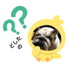 yurina_20200727215142