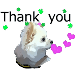 Sticker of Chihuahua for everyday use