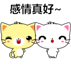 晴天貓 ( 冷靜F )