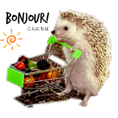 Saori_20200727222119