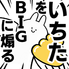 BIG Rabbits feeding [Ichita]
