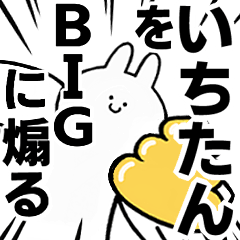 BIG Rabbits feeding [Ichi-tan]