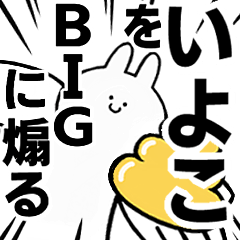 BIG Rabbits feeding [Iyoko]