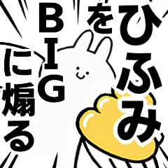 BIG Rabbits feeding [Hifumi]