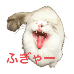 m@ki_20200728095057