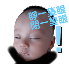 鯊魚小子