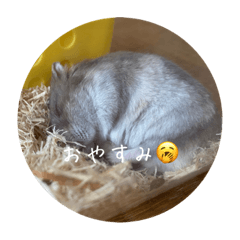 Hana_20200728114522