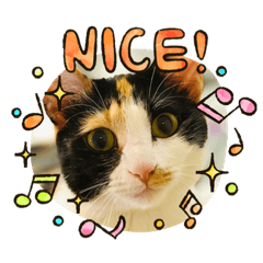 nonnyans_20200728144036