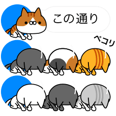 アイコンの中から猫だらけ Line スタンプ Line Store