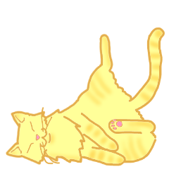 Kimari:My sweet golden cat