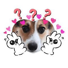 melon_20200727195859