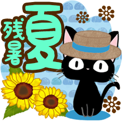 The summer cute black cat for adult