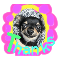 Mizuki_20200728173715