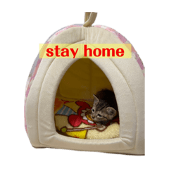 nanami_20200728225340