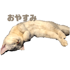 omochi_20200728195744