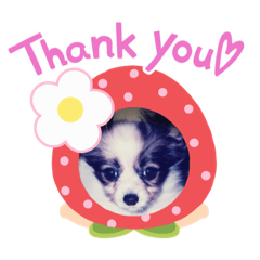 Mizuki_20200728200336