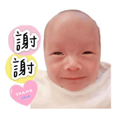 睿睿宸宸雙寶