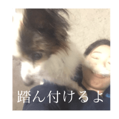 Mizuki_20200728204732