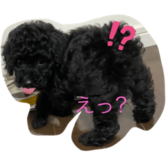 miyuu_20200728212327