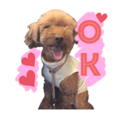 nozomi_20200728213002