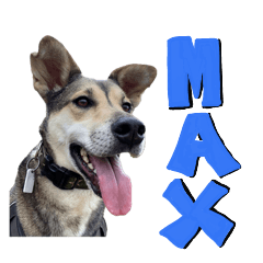 Good boy MAX!