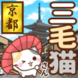 京都の三毛猫さん 大きな文字セット