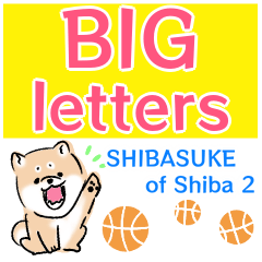SHIBASUKE of Shiba 2 -BIG letters-