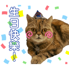 公主喵喵厭世三姐妹