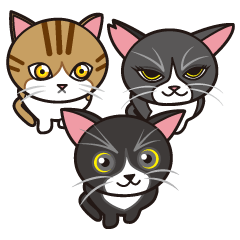 Tanaka Family's Cats